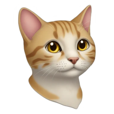 gatto arrabbiato sticker