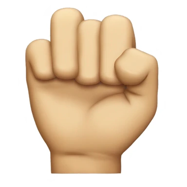 Do not sign with fist sticker