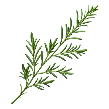 ultra realistic rosemary sticker