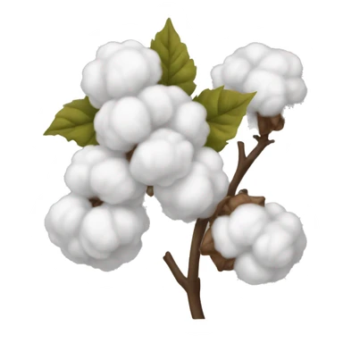 Cotton  sticker