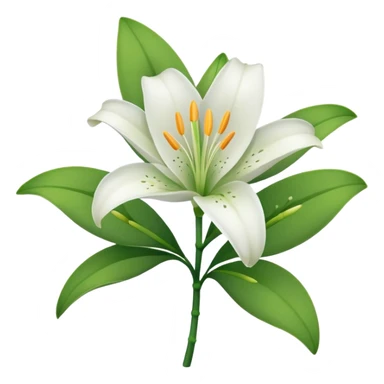 Lily flower sticker