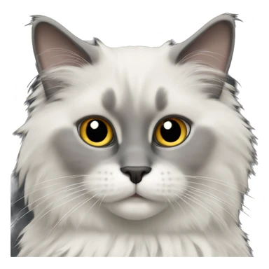 gray ragdoll cat with a dark fluffy  sticker