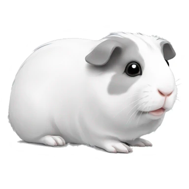 Guineapig white and grey sticker