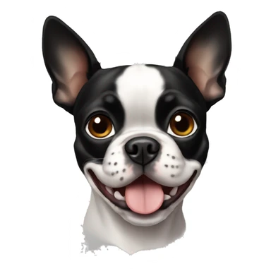 Boston terrier sticker