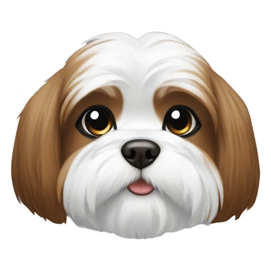 Shitzu dog female white and brown sticker