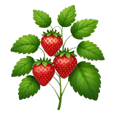 strawberry plant sticker