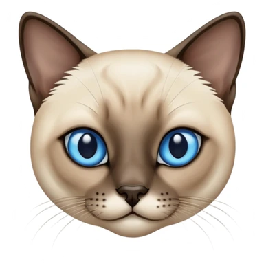 Siamese cat with short hair sticker