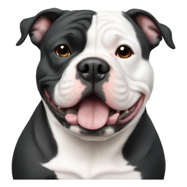 American bully dog black and white belly sticker