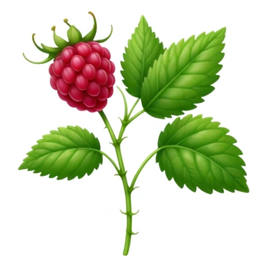 Single raspberry stem sticker