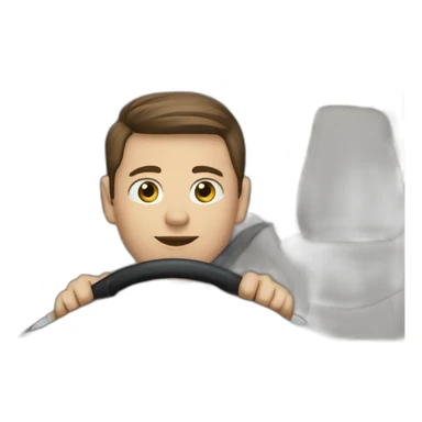 someone driving a tesla sticker