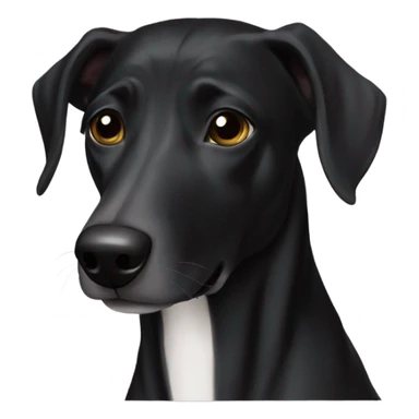 Greyhound lab mix black  sticker
