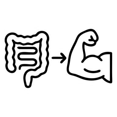simple, clear, and informative illustration of an intestine and a bicep side by side, connected by a line or arrow highlighting the connection between them, on a white background sticker