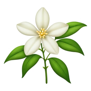 Jasmin flower  sticker