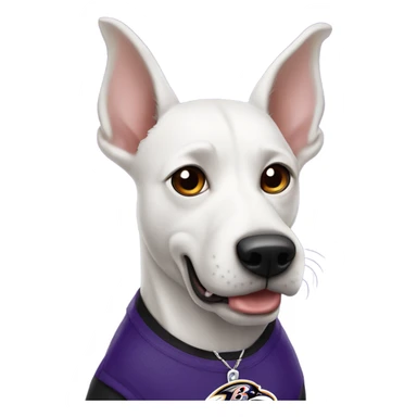 White dog with pointy ears and Baltimore Ravens  sticker