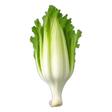 Endive sticker