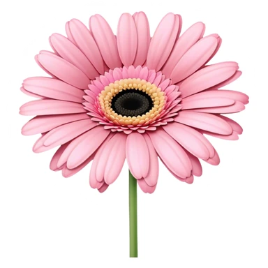 single Soft Pink Gerbera Daisy, straight stem sticker