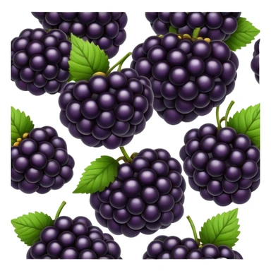 Blackberries sticker