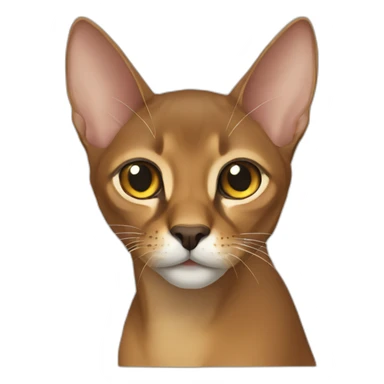 light abyssinian sticker