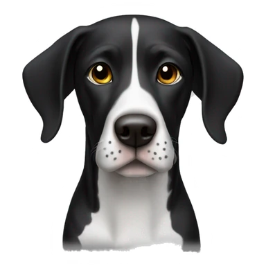Black and white German shorthair dog with full black face  sticker