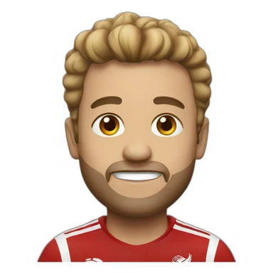 Liverpool fan sticker