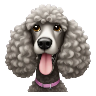 Large poodle on north padre island sticker