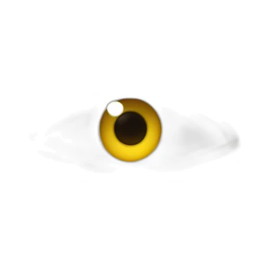 plisse les yeux sticker