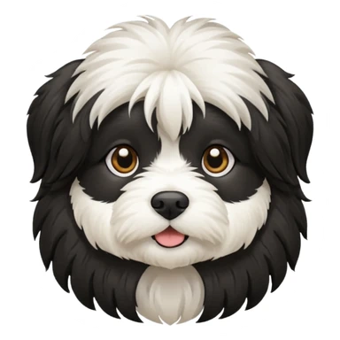 Black and white Havanese dog sticker