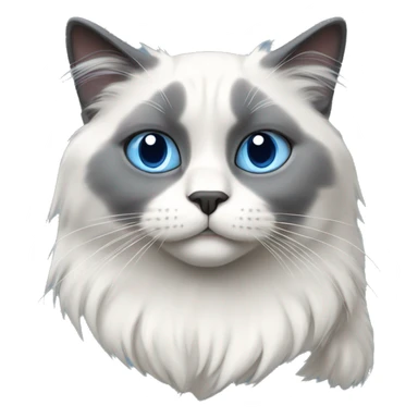 Blue bicolor ragdoll cat sticker