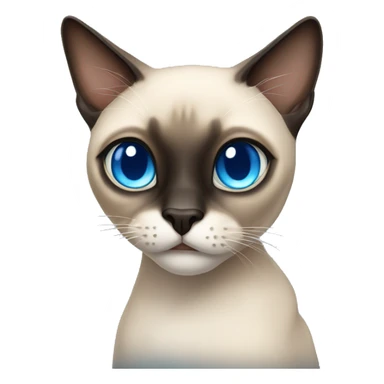 siamese cat with blues eyes and dark face  sticker