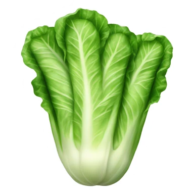 Romaine Lettuce sticker