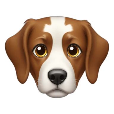 Appenzeller Sennenhund  sticker