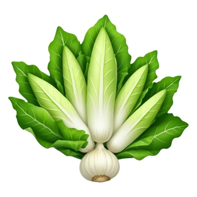 Endive sticker