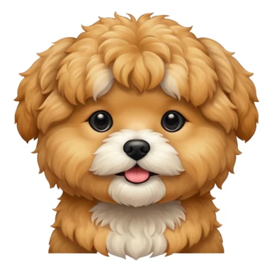 shihpoo-apricot sticker