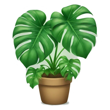 Monstera plant sticker