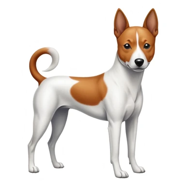 chien basenji blanc avec taches noires sticker