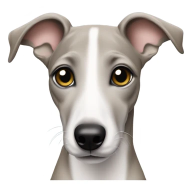 Whippet puppy sticker