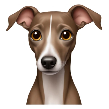 Just Brown Italian greyhound   sticker