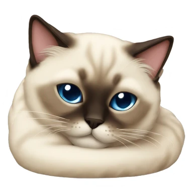 fluffy siamese cat curled up sleeping sticker