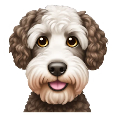 Cockapoo with white and dark brown face with a pink nose sticker