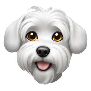 dog Maltese with a bit of grey in the ears  sticker
