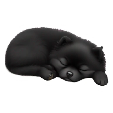 Sleeping black pomeranian sticker