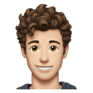 Shawn mendes sticker