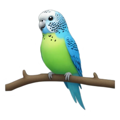 Blue budgie sticker