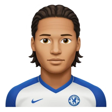 Virgil Van dijk sticker