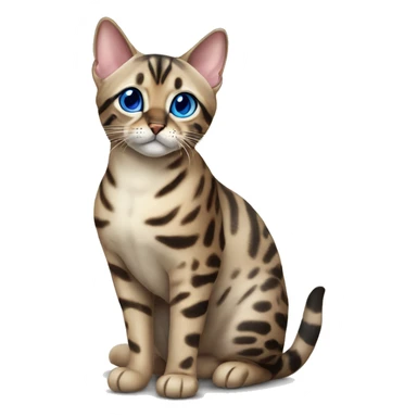 Seal Bengal cat with Blue eyes sitting sticker