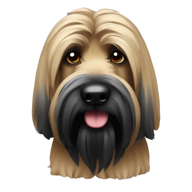Briard noir sticker