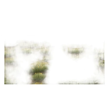 Blackland prairies sticker