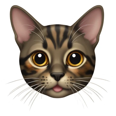 oriental tortoiseshell colored cat sticker