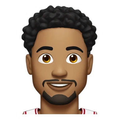 Derrick rose sticker