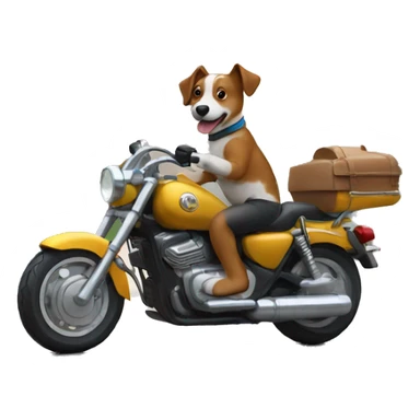 chien sur un moto sticker